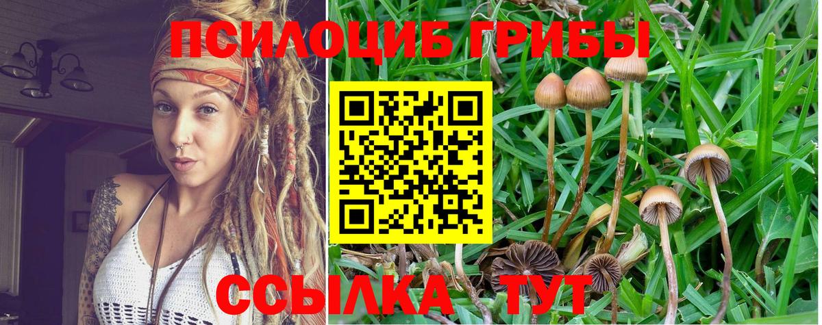 Туймазы  Галлюциногенные грибы Magic Shrooms  Вход с VPN 